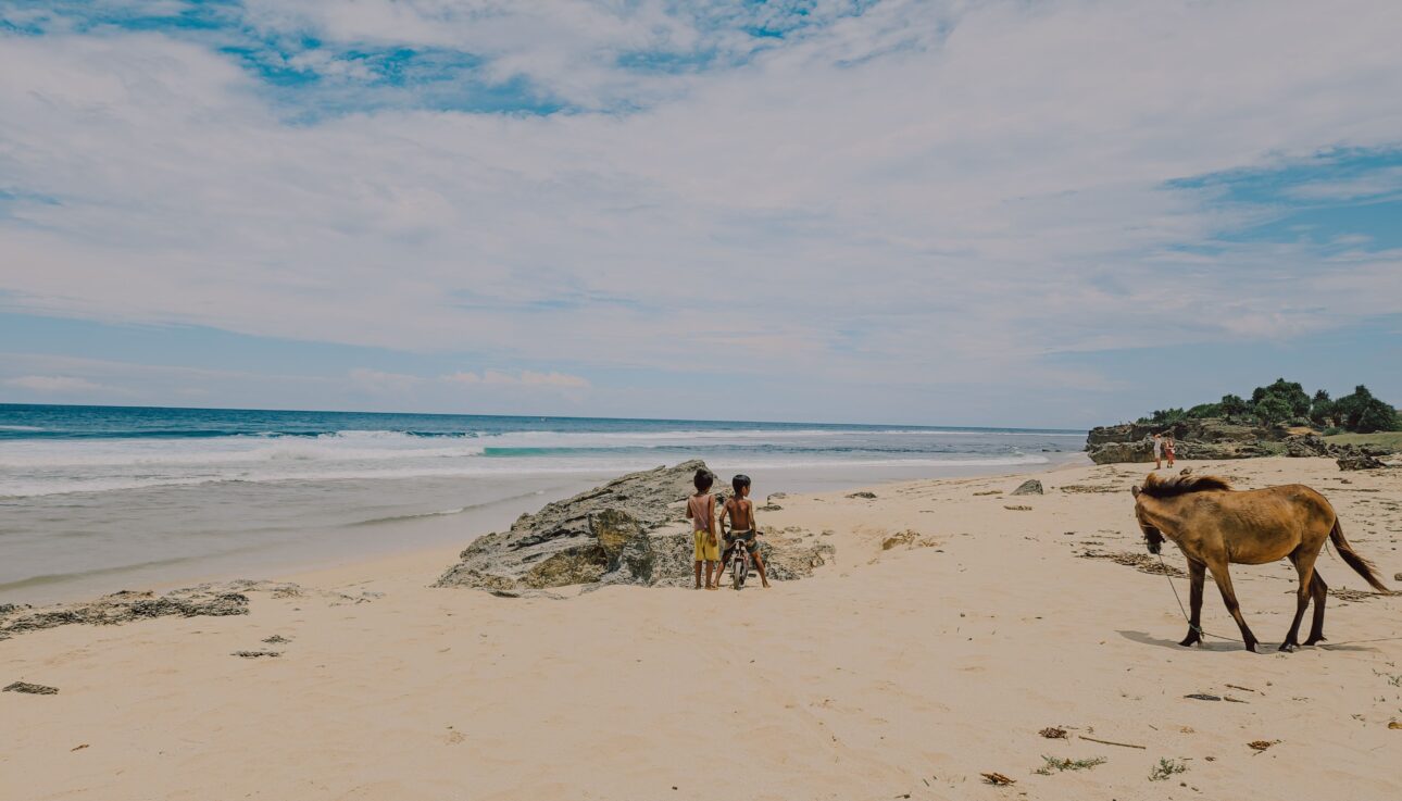 Children playing near rocks on a sandy beach while a horse roams freely under a clear blue sky.